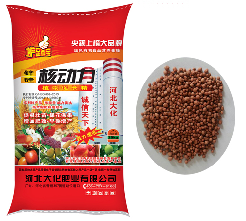 鋅硅核動力
