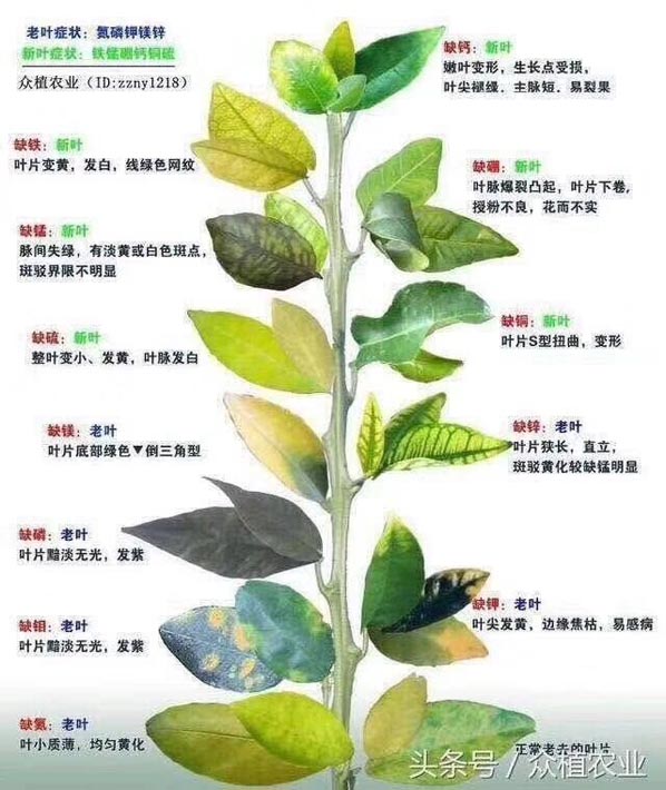 QQ圖片20180204164439.jpg